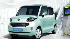 Kia Ray EV Car