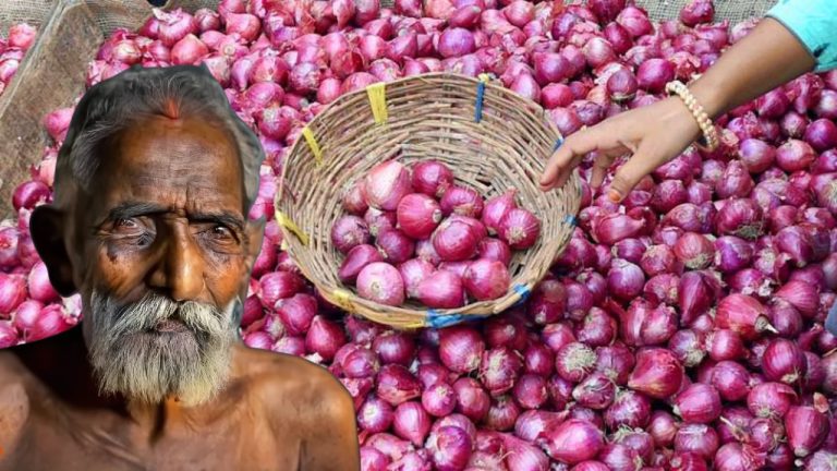 onion price