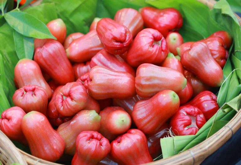 Water Apple Benefits for Diabetes: How to Consume for Best Results