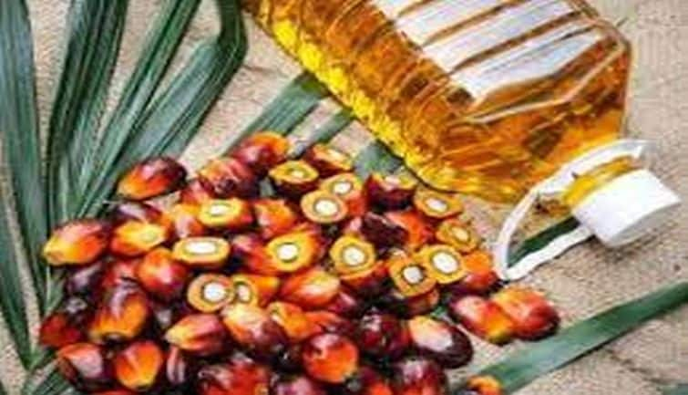 Agri Commodity Update: Palm Oil Prices Surge, Sugar Mills Receive Ethanol Orders from OMCs, Future Outlook Analysis