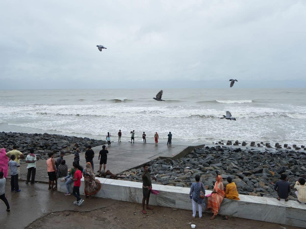 Cyclone Dana Devastation in Odisha and Bengal: Homes and Trees Uprooted, Life Disrupted