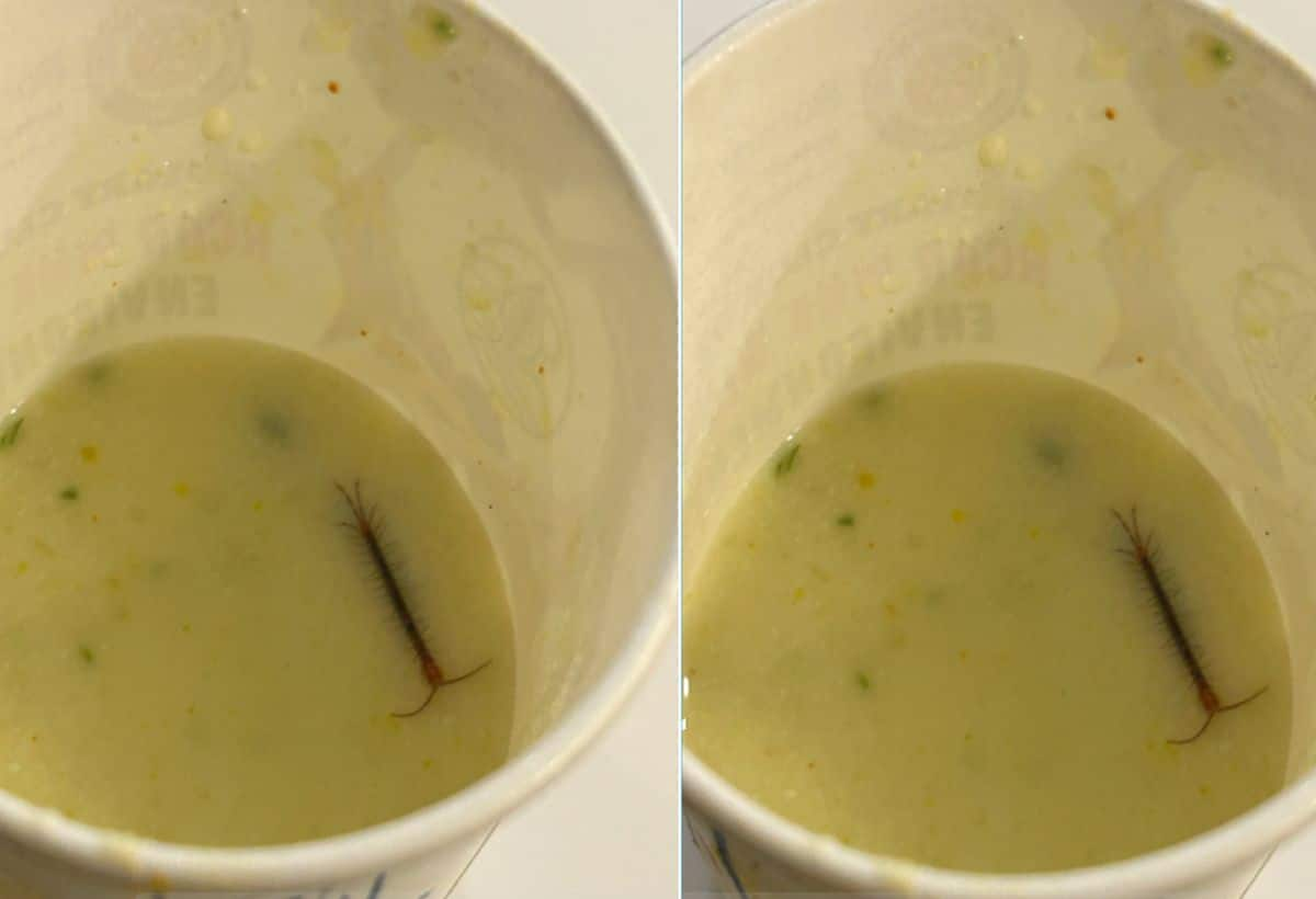 Live Bug Found in IRCTC VIP Lounge Snack, Railway Responds to Viral Video