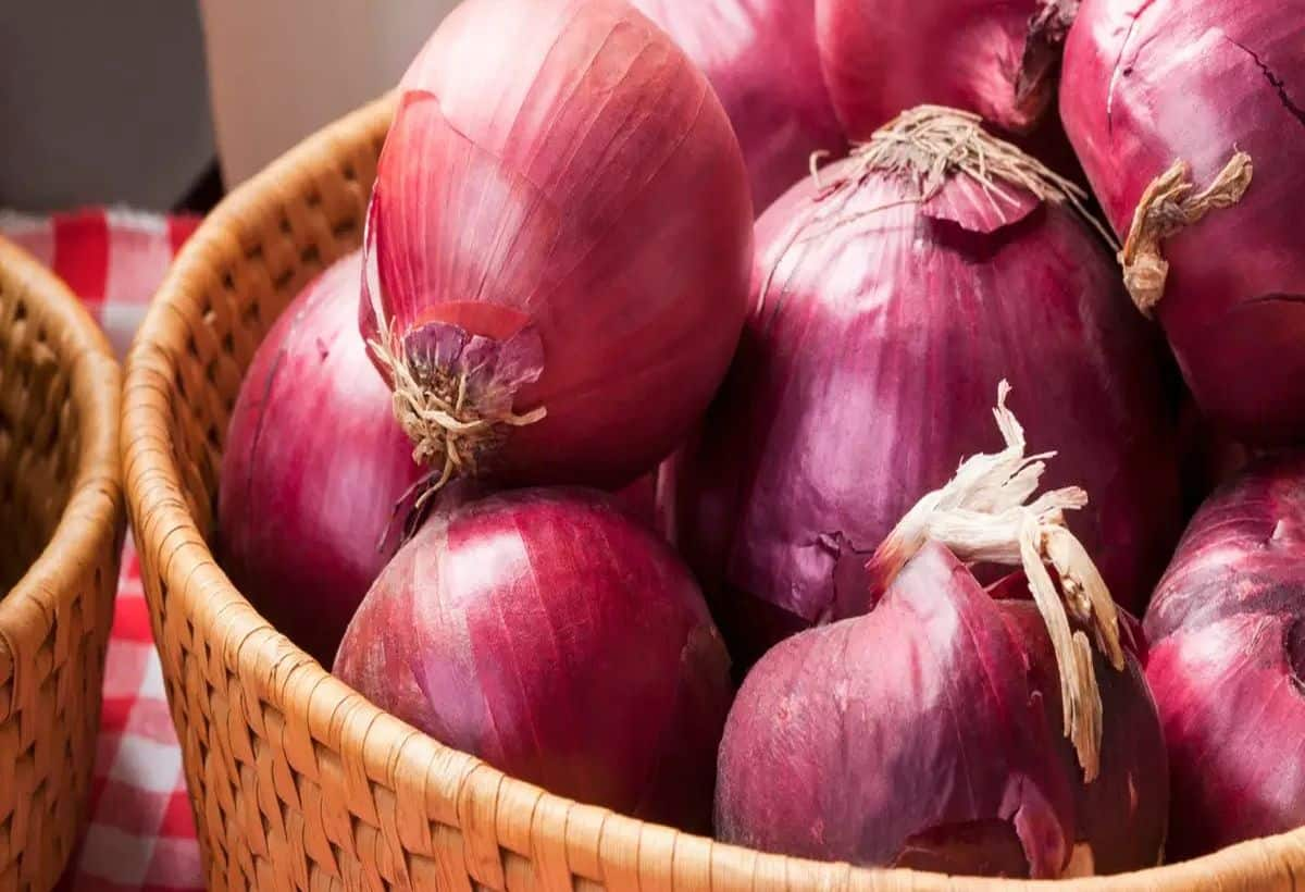 Onion for Diabetes: Benefits and Usage Tips