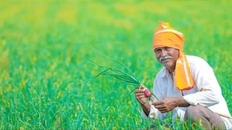 Can Both Husband and Wife Benefit from PM Kisan Scheme? Understand the Complete Rules