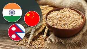 India to Support Nepal Trapped in China's Grip: How It Will Alleviate Food Shortages