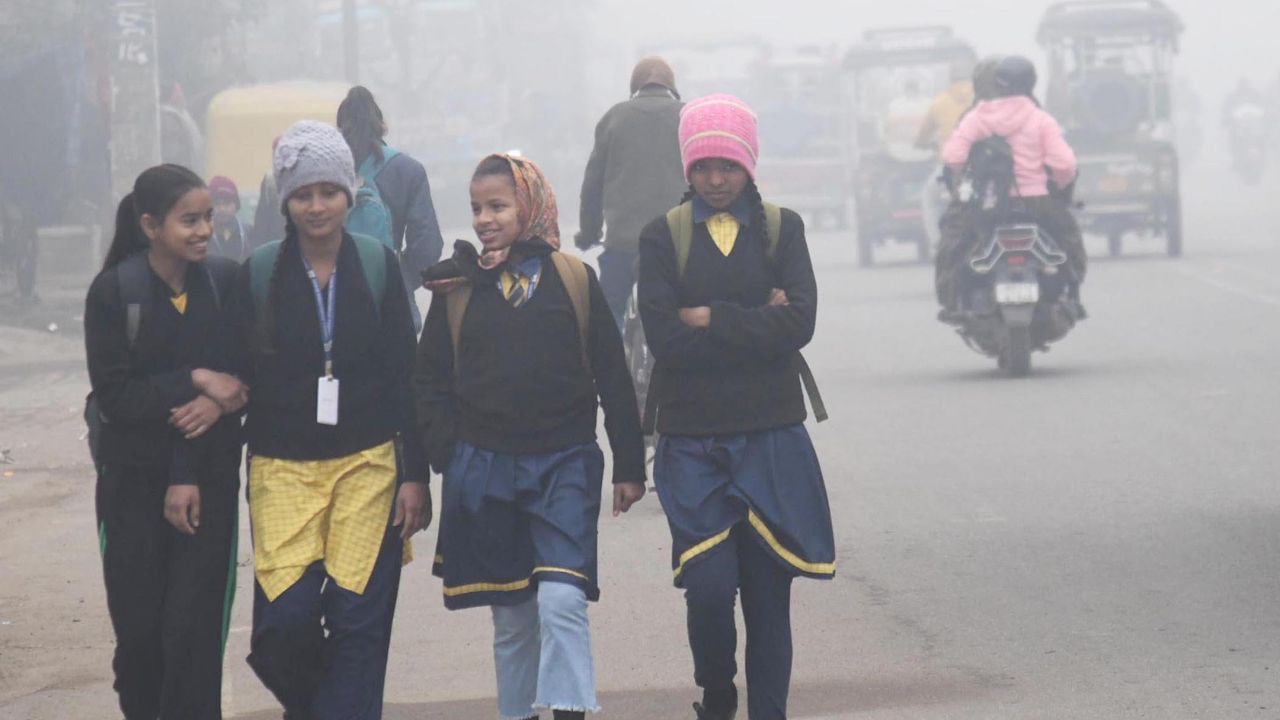 School Holidays: Cold Wave Impact - Find Out School Closures from Uttar Pradesh to Delhi