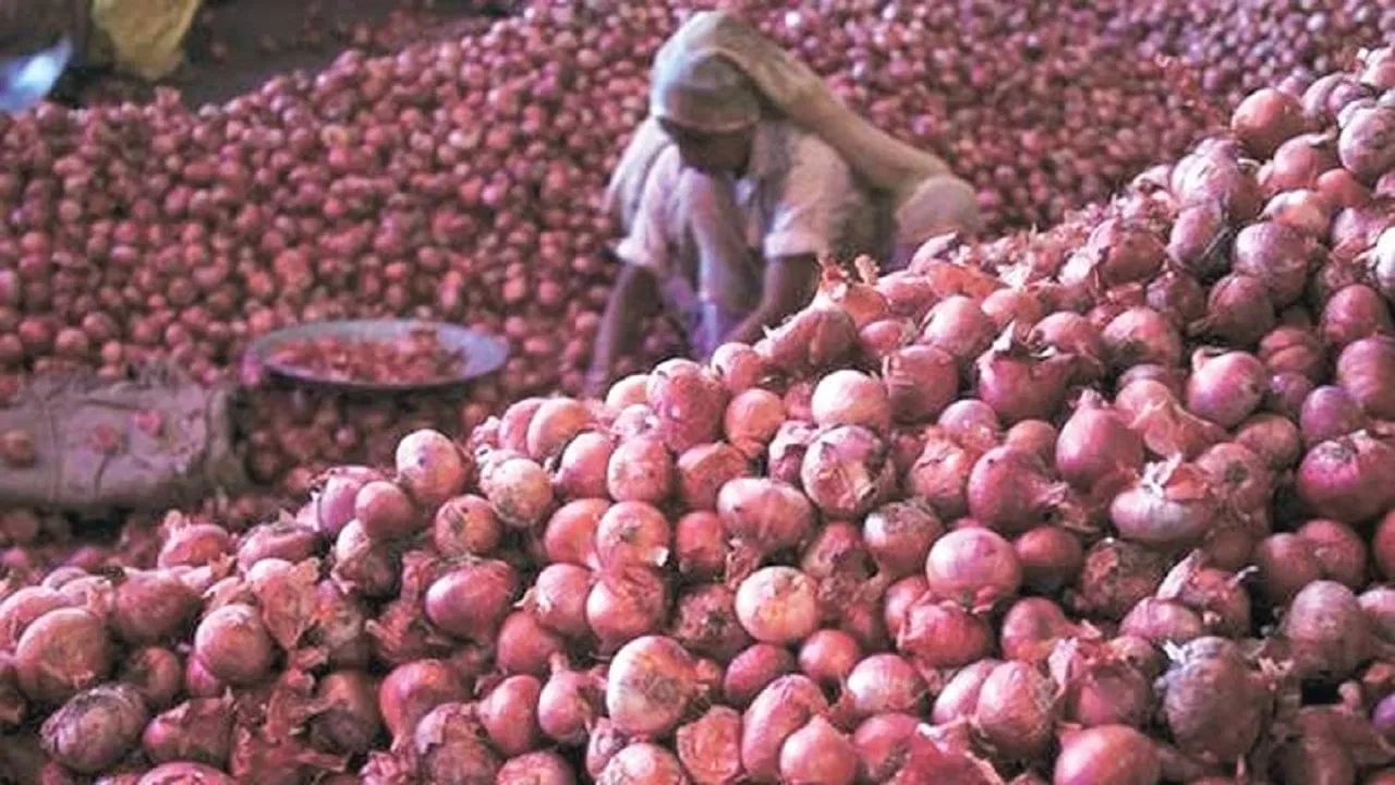 Why Farmers Are Upset with the Government Over Onions: Here's the Reason