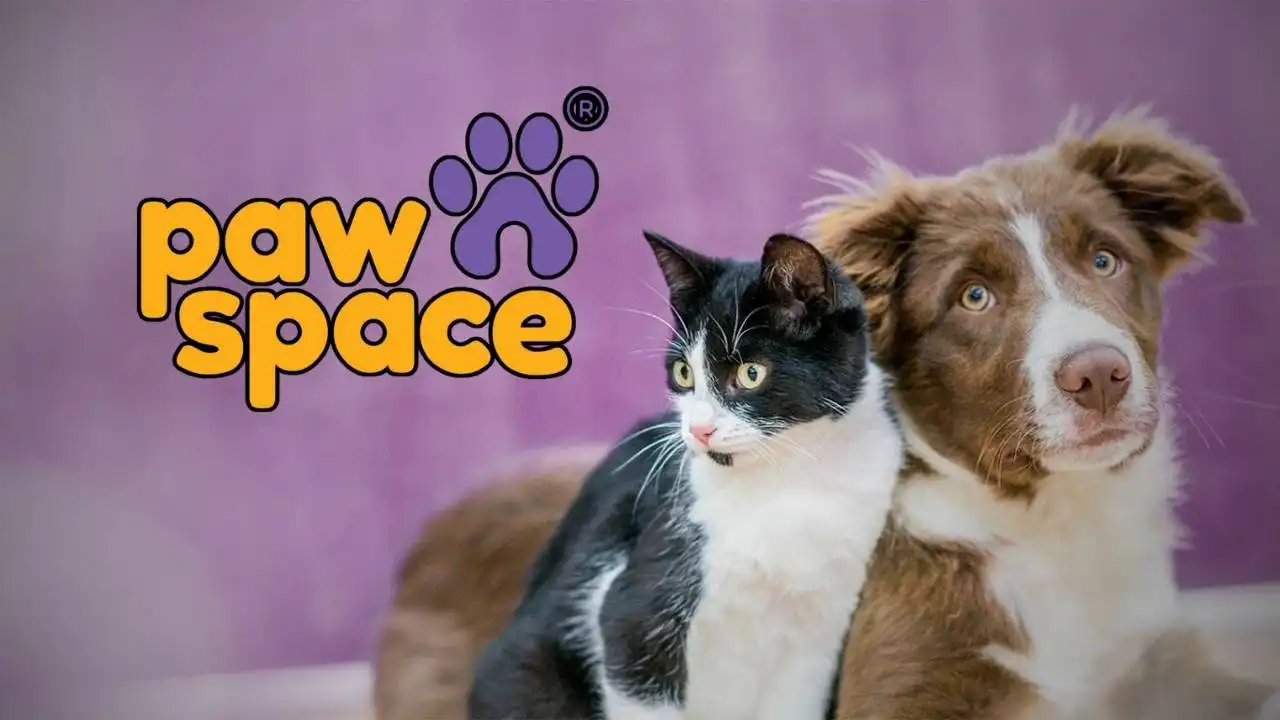 PawSpace Changes Pet Care with Home Services and a Human Touch