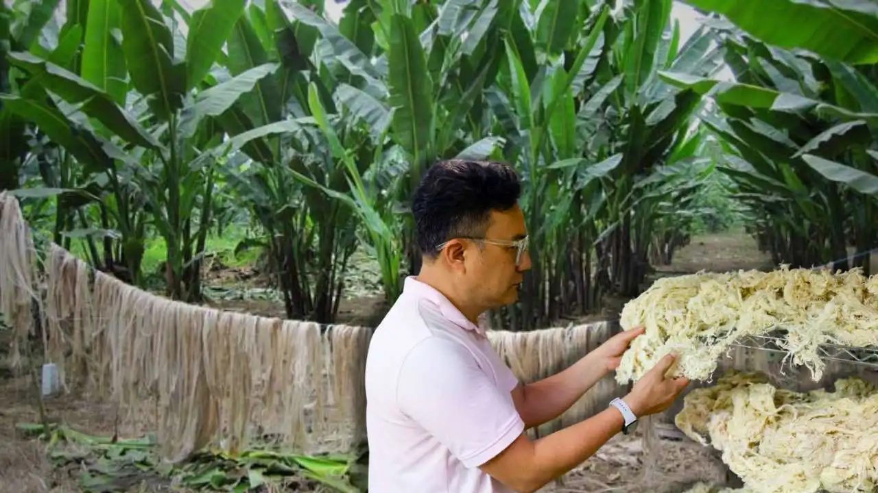 Meet the Entrepreneur who is Turning Banana Plants into Eco-Friendly Fashion Fabrics