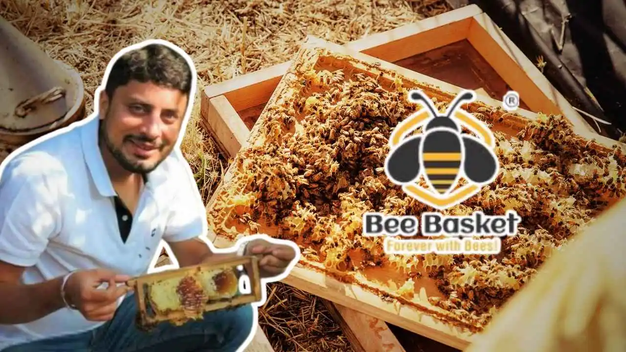 Meet Pune’s Bee Man Saving Thousands of Bees with Bee Basket, Earns Rs 65 Lakh