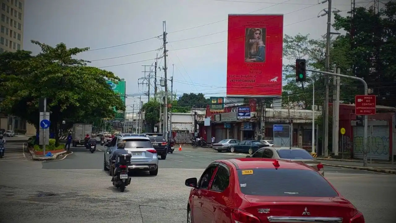 Indian Poet & Novelist Priya Singh