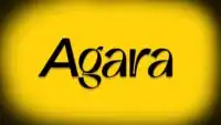 Prediction Markets Startup Agara in Talks to Raise Over $7 Million in Fresh Funding Round